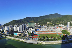 ?？稻W(wǎng)站建設(shè)