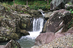 陸河網(wǎng)站建設