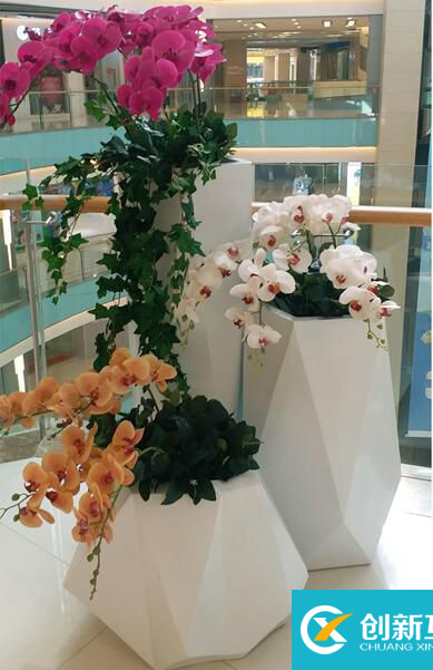 【序號19-183】重慶玻璃鋼花盆，商場寫字樓景觀花盆