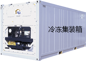 冷凍集裝箱 冷凍集裝箱