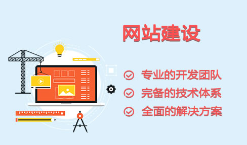 專業(yè)網(wǎng)站建設(shè)公司 專業(yè)網(wǎng)站建設(shè)公司