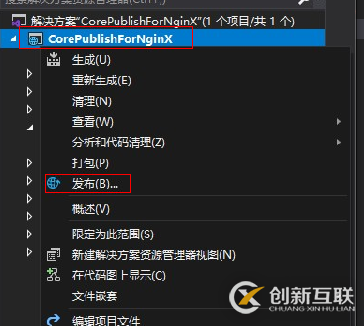如何在NginX下發(fā)布Net Core的WebApi項(xiàng)目。