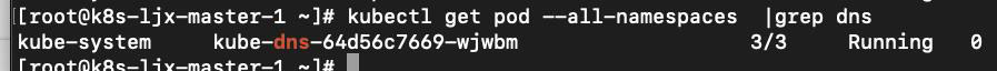 K8S 運(yùn)維技巧--DNS 部分;