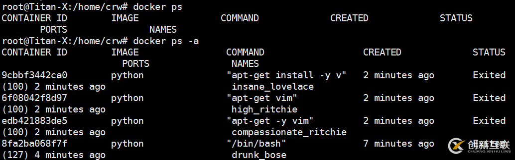 Docker基本命令的用法示例