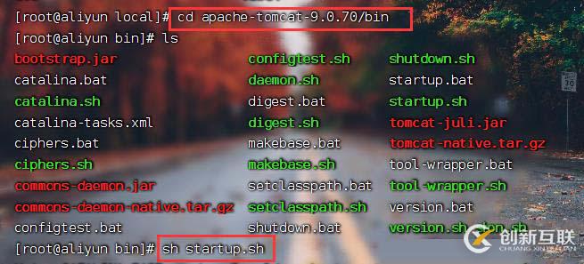 在這里插入圖片描述