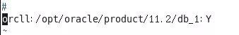 Linux-Centos6.5-Oracle數(shù)據(jù)庫安裝-DNS安裝