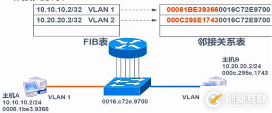 VLAN、Trunk、三層交換機(jī)（劃重點(diǎn)，要考）