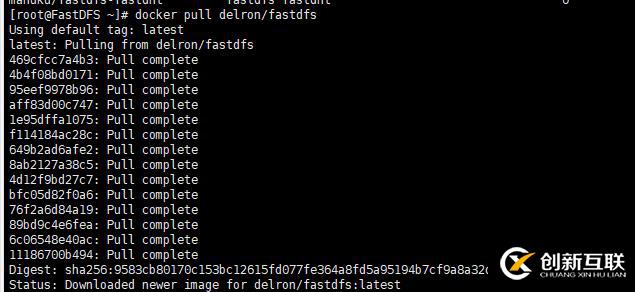 使用docker搭建FastDFS文件系統(tǒng)