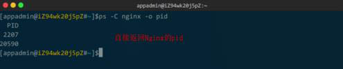 linux查看nginx是否啟動(dòng)的方法