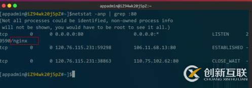 linux查看nginx是否啟動(dòng)的方法