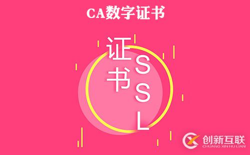 關(guān)于CA數(shù)字證書(shū)的詳細(xì)簡(jiǎn)介