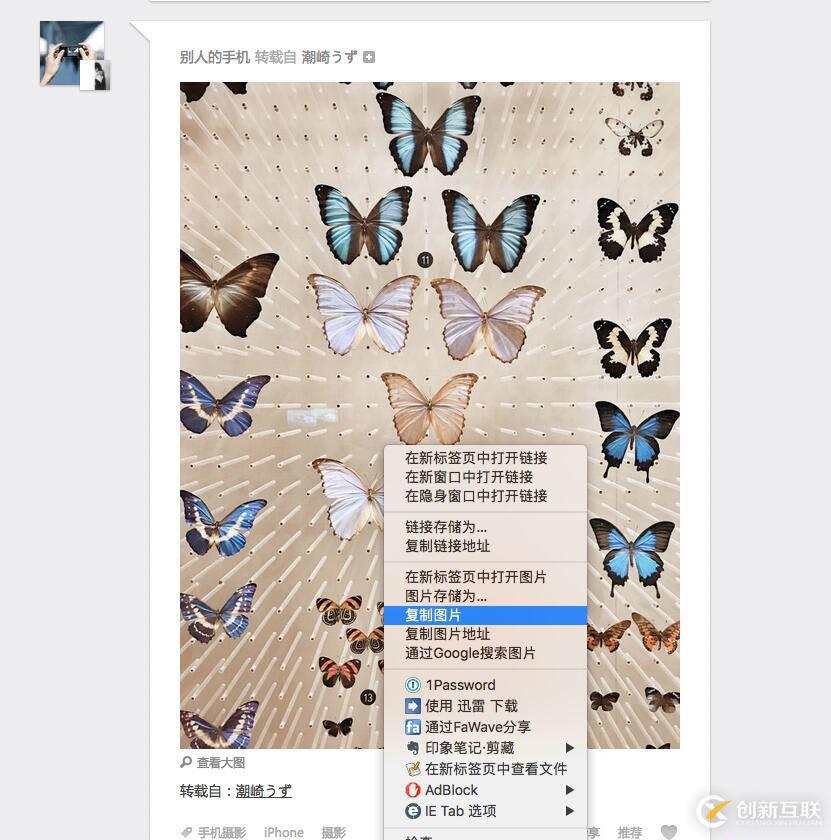 如何使用python存儲(chǔ)網(wǎng)頁上的圖片