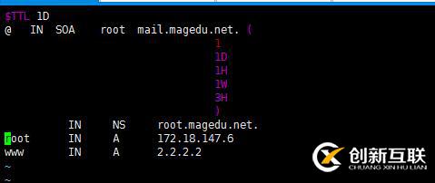 DNS正向解析 反向解析   轉(zhuǎn)發(fā)   子域    智能DNS