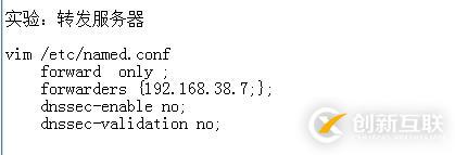 DNS正向解析 反向解析   轉(zhuǎn)發(fā)   子域    智能DNS