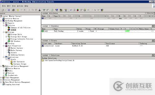 Symantec NetBackup備份學(xué)習(xí)實(shí)踐
