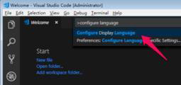 vscode中怎么設(shè)置中文語言環(huán)境