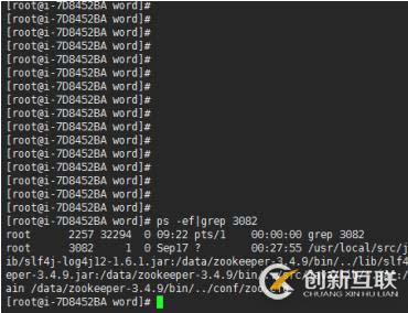 怎么查看linux端口被哪個進程占用