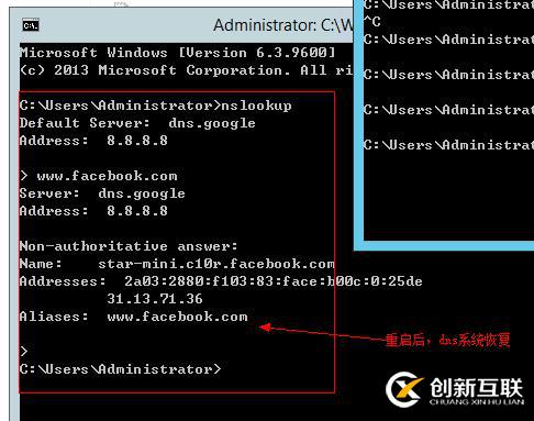 【奇葩的域名無(wú)法解析】windows server 本地出現(xiàn)
