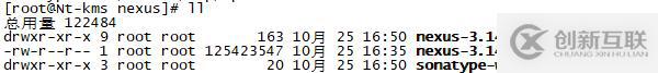 Nexus安裝配置全過(guò)程