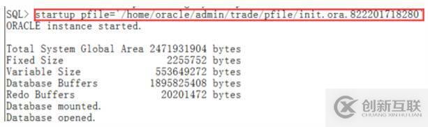 Oracle實例啟動時報ORA-32004錯誤怎么辦