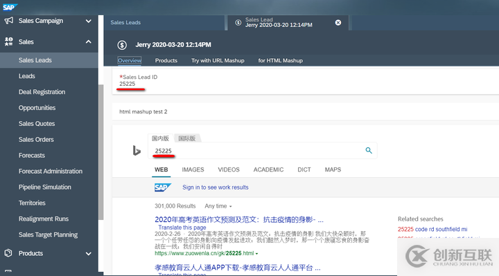 怎么在SAP Cloud for Customer頁面嵌入自定義UI