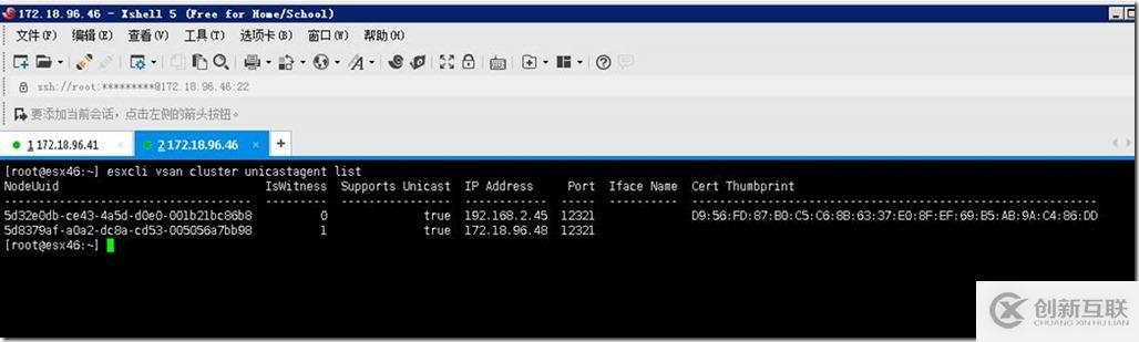 vSAN群集只顯示一個(gè)vSAN存儲