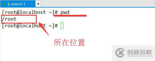 linux命令基礎(chǔ)(一)