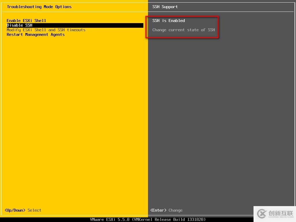 VMware esxi 5.5 安裝使用過程