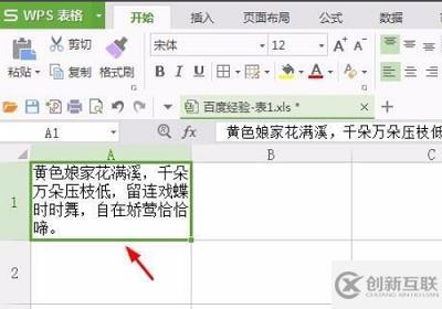 wps表格如何換行