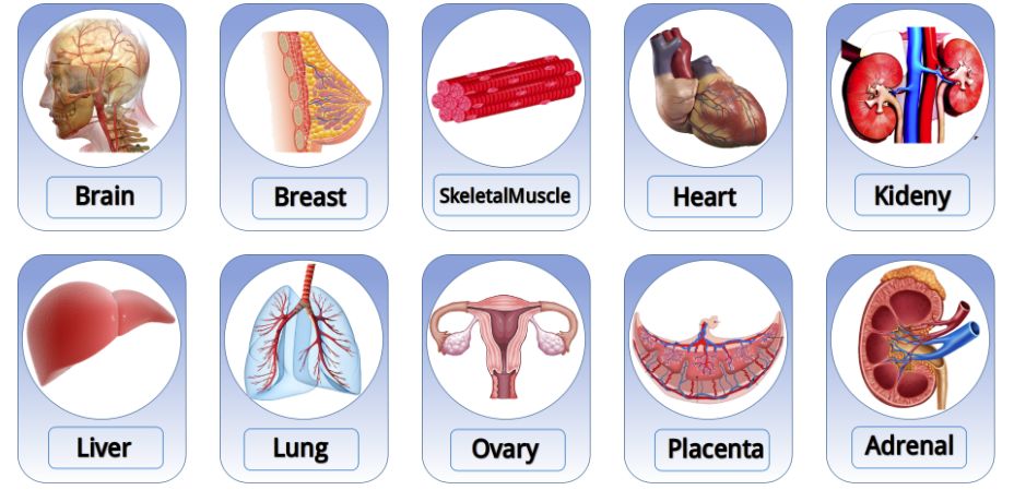 TiED數(shù)據(jù)庫有什么用