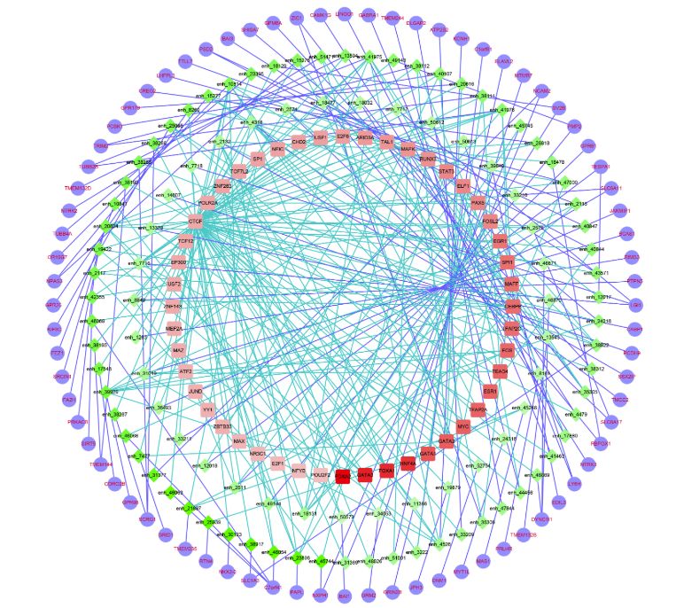 TiED數(shù)據(jù)庫有什么用