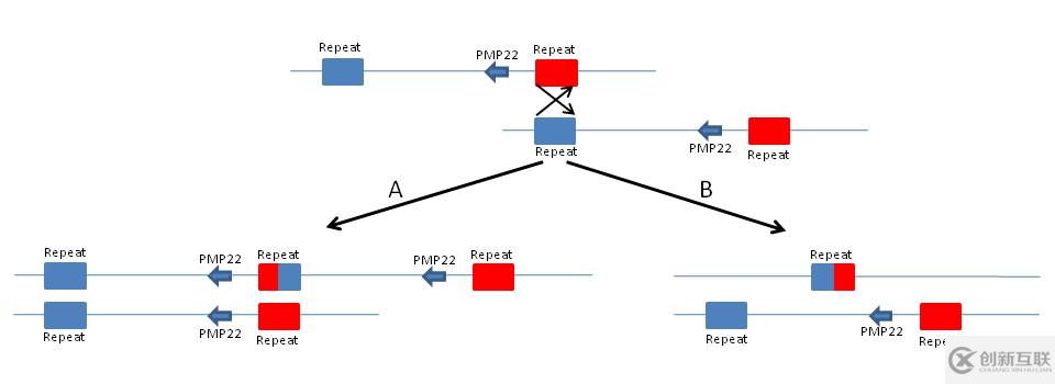 dbvar是一個(gè)什么數(shù)據(jù)庫