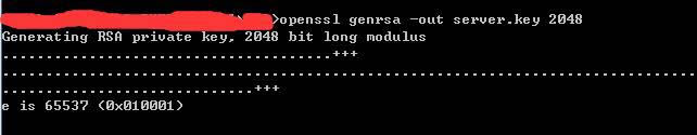 OpenSSl生成SSL證書(支持https)