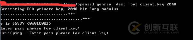 OpenSSl生成SSL證書(支持https)