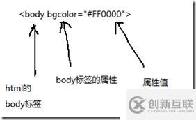 ASP.NET學習筆記（001）:HTML