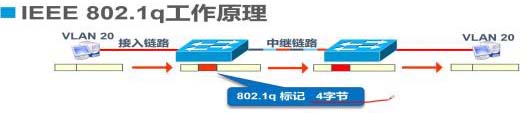 Trunk與三層交換機原理