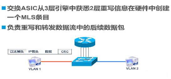 Trunk與三層交換機原理