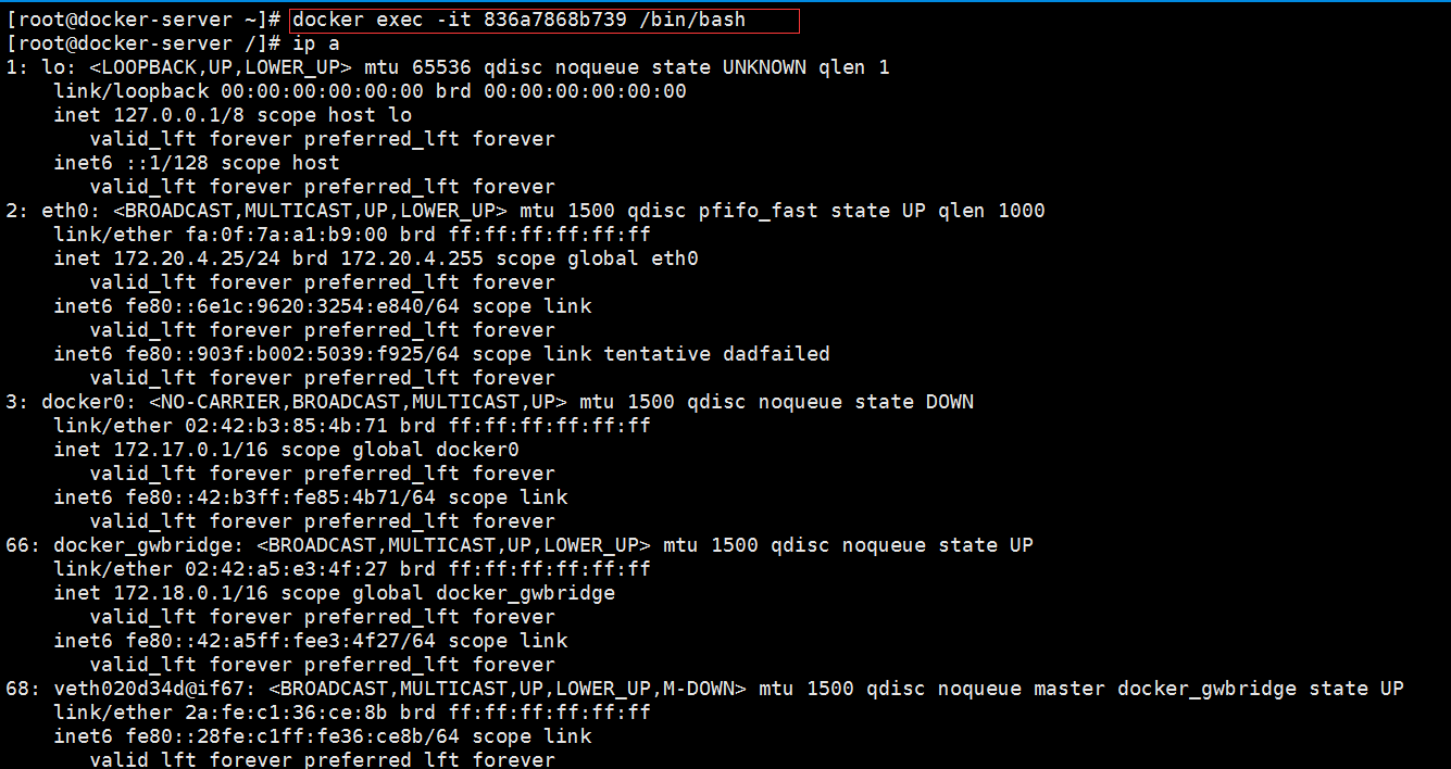 容器Docker入門詳解