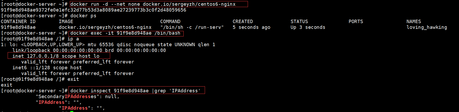 容器Docker入門詳解