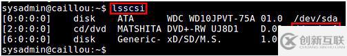 有哪些Linux下檢測DVD刻錄機(jī)的設(shè)備名及寫入速度的方法