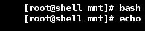 shell變量快速入門