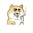 部分手機(jī)訪問https顯示空白頁