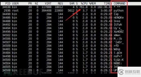 Linux的應(yīng)急響應(yīng)技巧是什么