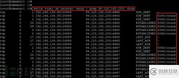 Linux的應(yīng)急響應(yīng)技巧是什么