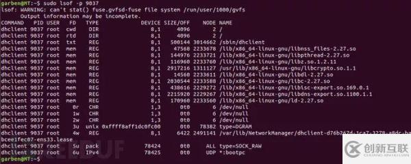 Linux的應(yīng)急響應(yīng)技巧是什么