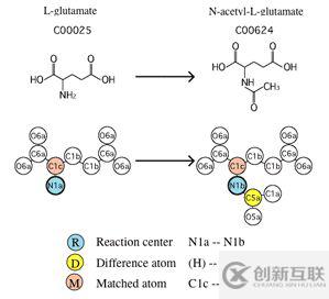 KEGG Reaction 數(shù)據(jù)庫(kù)的原理是什么