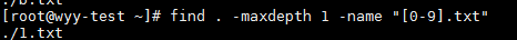 怎么在Linux中使用find命令查找文本