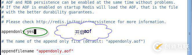 Redis的持久化和主從復(fù)制機(jī)制是什么