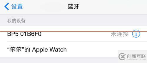 Apple Watch的名稱該如何更改