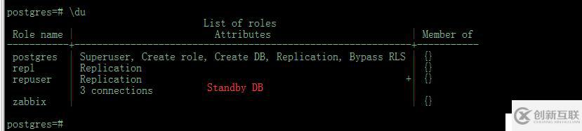 Postgres 11.4 pg_basebackup  P